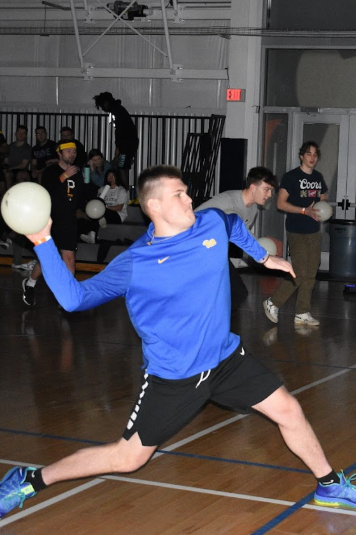Dodgeball Home Page
